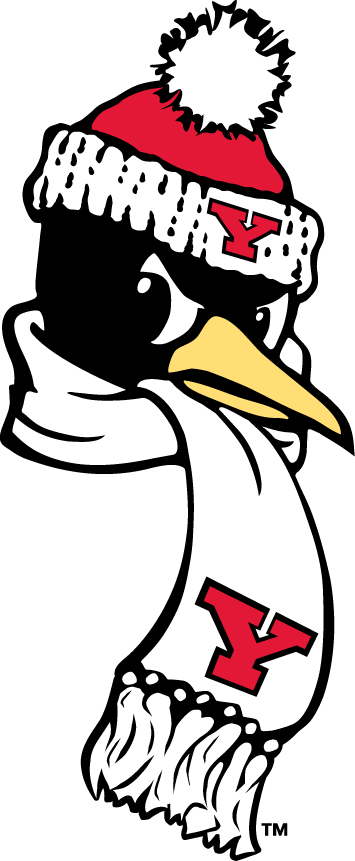 Youngstown State Penguins 1993-Pres Alternate Logo v8 DIY iron on transfer (heat transfer)